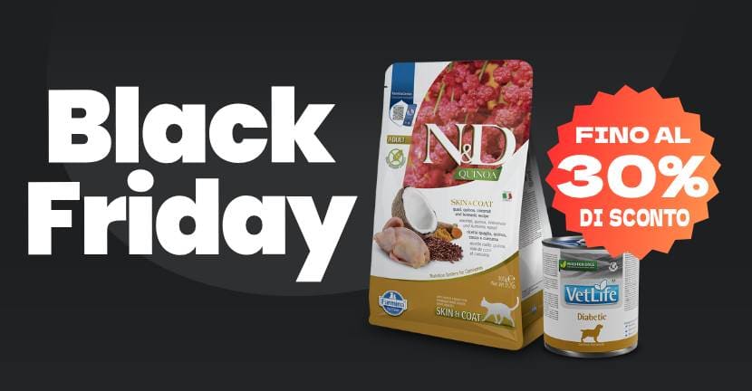 STORE PROMO PAGE (1)