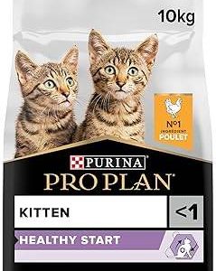 pro plan cat kitten pollo 10 kg