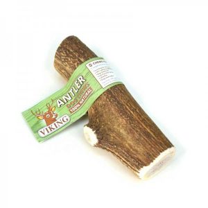 Corna Di Cervo Intere M 80/120 Gr