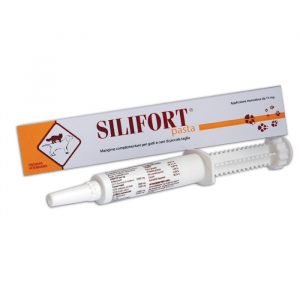 Silifort Pasta 30 Gr
